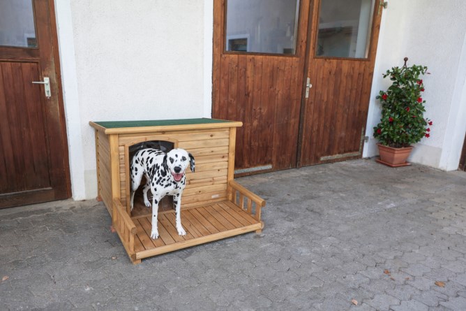 Dog House with Terrace