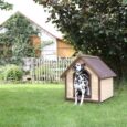 Dog house 4-Seasons