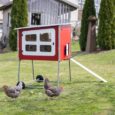 Wooden Mobile Coop