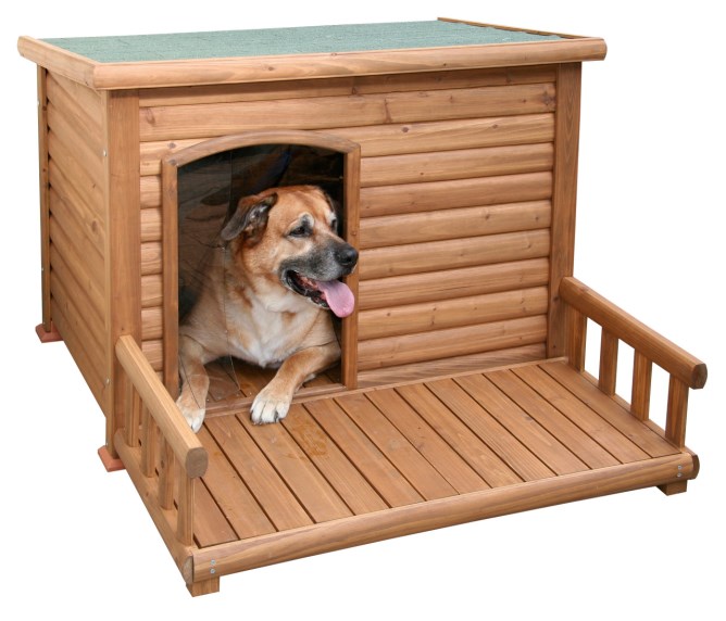Dog House with Terrace