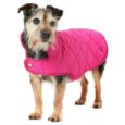 Clothing & Accessories for Dogs