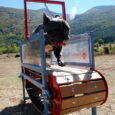 The Firepaw Mini Dogs Treadmill
