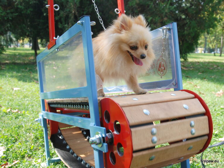 The Firepaw Mini Dogs Treadmill