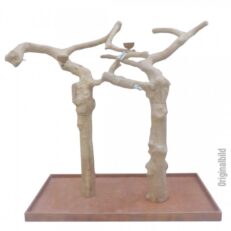 Double Java Tree