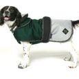 Battersea 2-in-1 Not All Heroes Wear Capes Dog Coat Green 70cm
