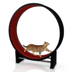 c10182 01 1000x1000 1 231x231 - Cat In Motion Wheel (Black & Red)