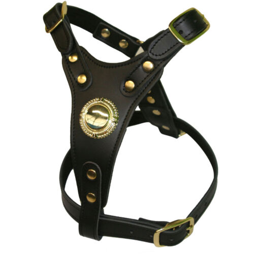 BULL TERRIER DELUXE LEATHER HARNESS | BBD Pet Products