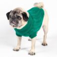 The Rascal Cableknit DogJumper SD1 (Green)