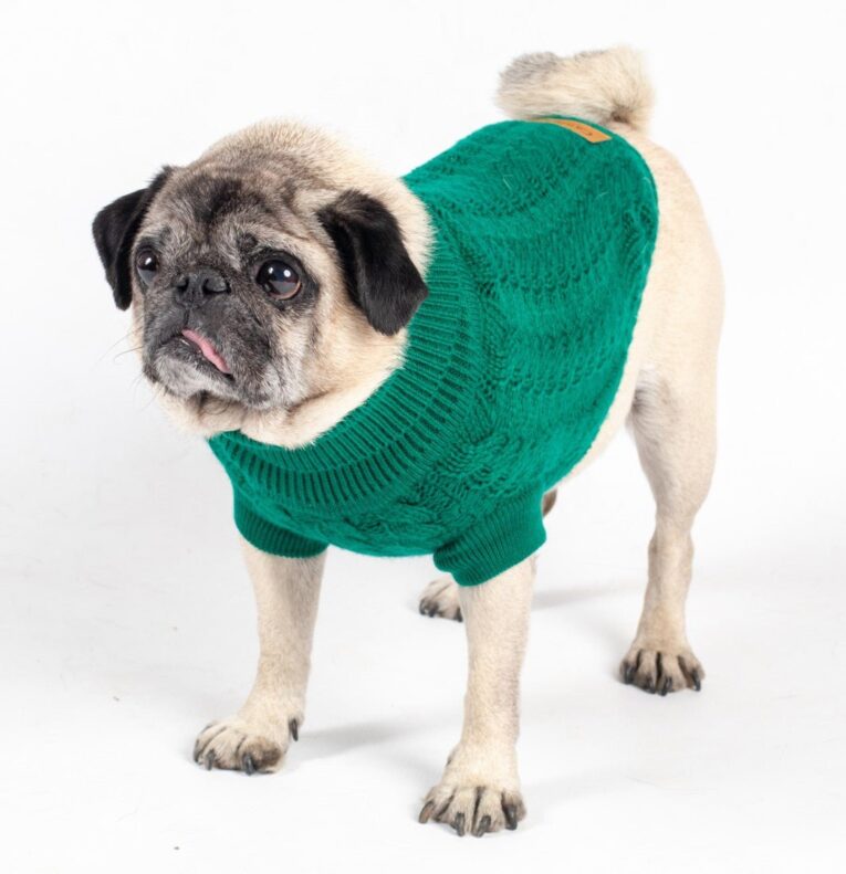 The Rascal Cableknit DogJumper SD1 (Green)