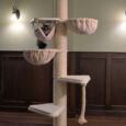 The MAINE COON TOWER Cream CROWN (Deluxe)