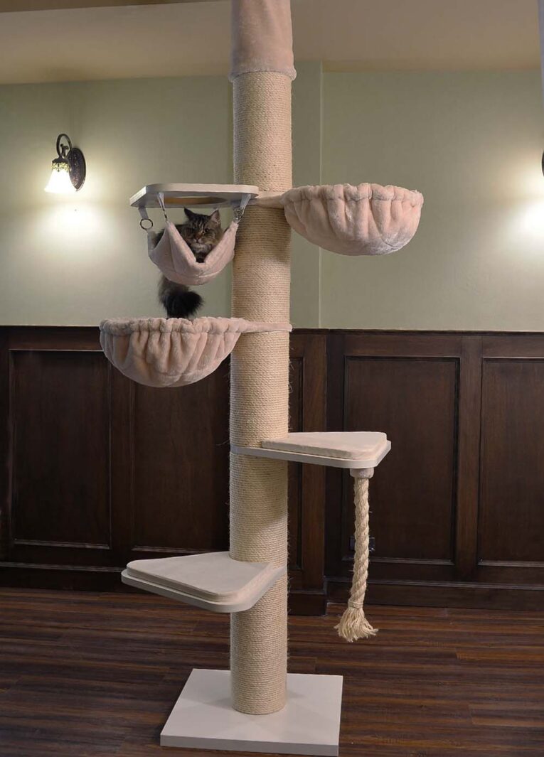 The MAINE COON TOWER Cream CROWN (Deluxe)