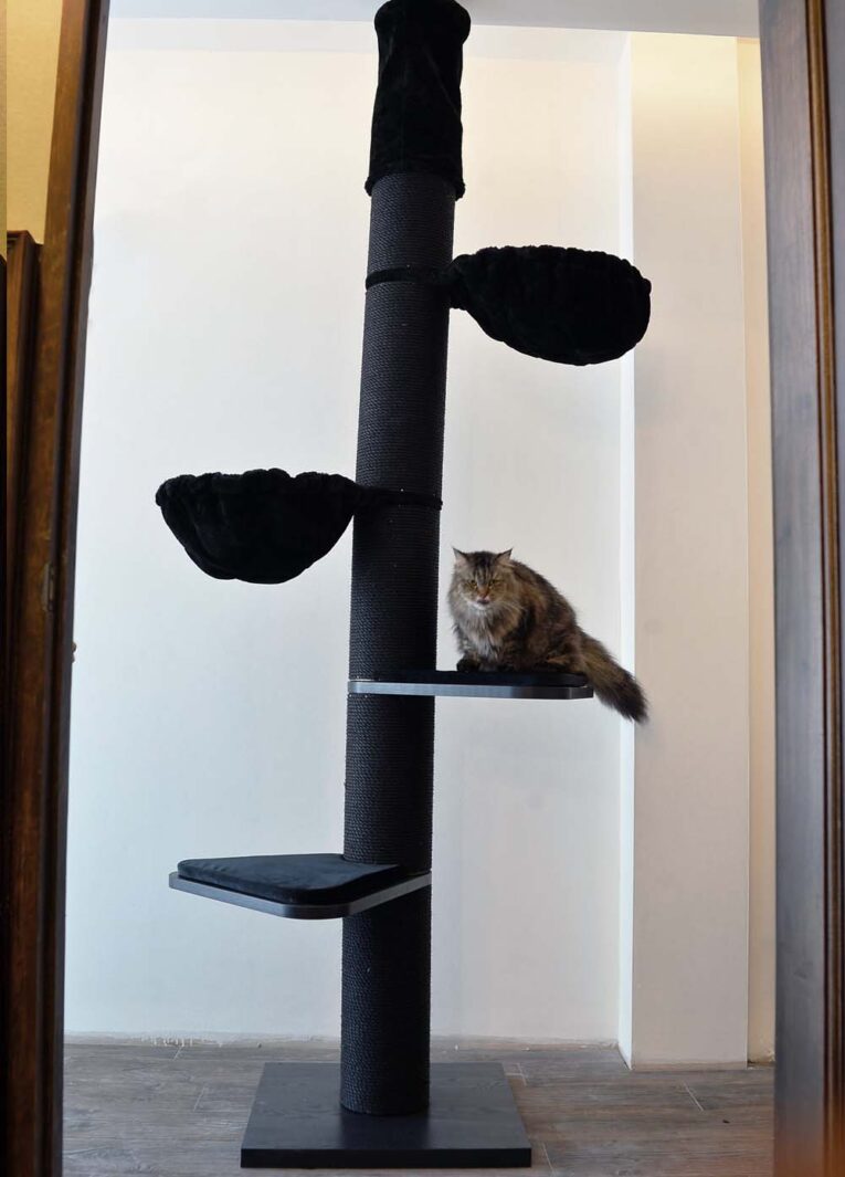 Maine Coon Cat Tree Tower BLACKLINE