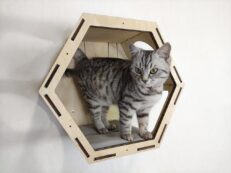 RSH – Hexagonal Cat Shelf (Light)