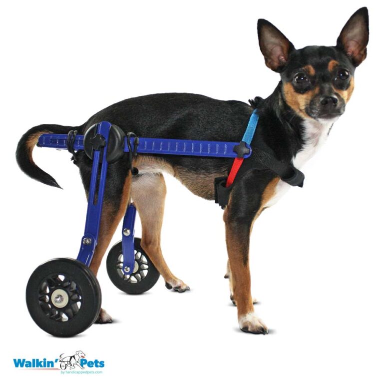 Walkin’ Wheels MINI Dog Wheelchair