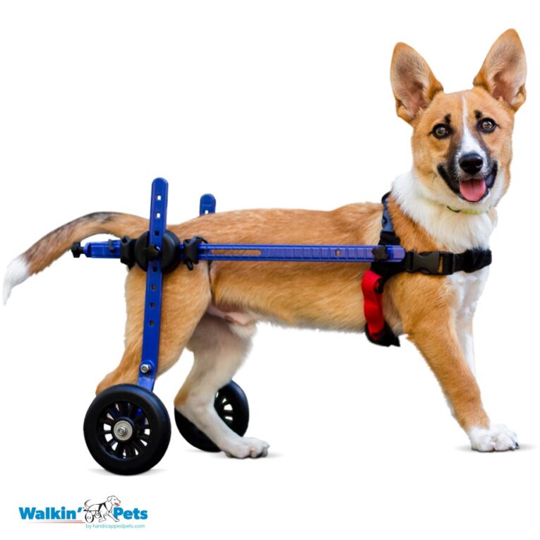 Walkin’ Wheels MINI Dog Wheelchair