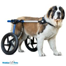 Walkin’ Wheels Large Dog Wheelchair