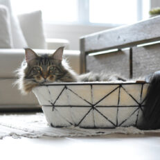 Beonebreed Metal Wire Cat Basket and Foam Cushion