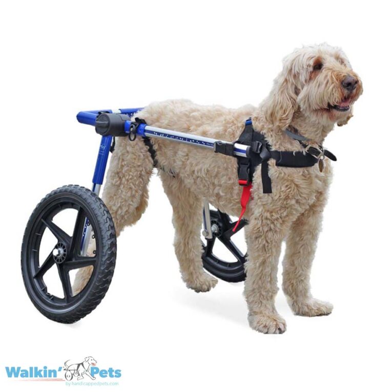 Walkin’ Wheels Med/Large Dog Wheelchair