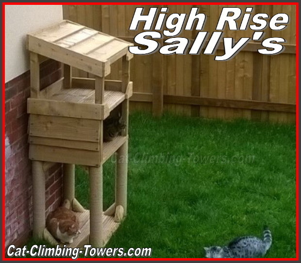 The High Rise Sally