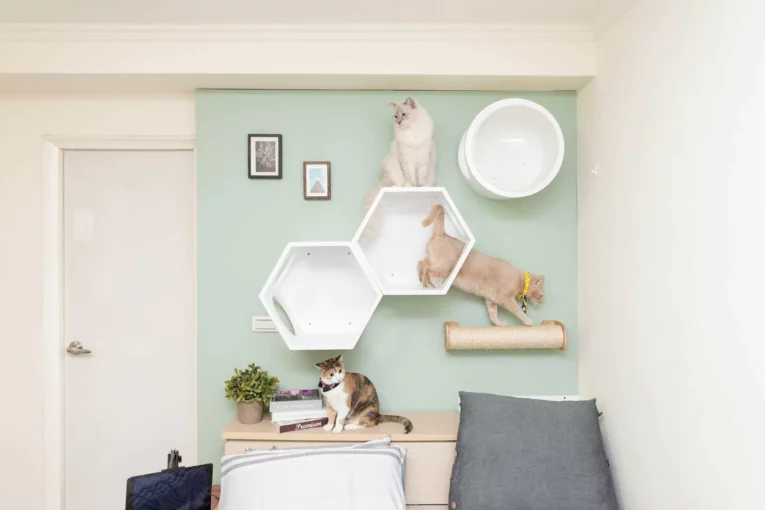 BUSYCAT Cat Shelf (White)