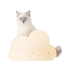 Cloud Shaped Cat Perch (Pine)