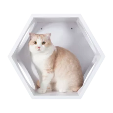 BUSYCAT Cat Shelf (White)