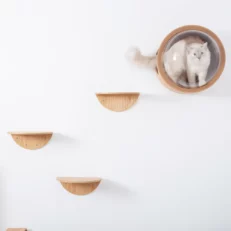 Wall Mounted Cat shelf Bundle