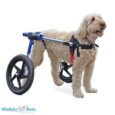Dog Mobility Aids