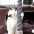 PetRebels – Cat Tree Turnpike 200 (Cappuccino)