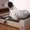 Handmade Wooden Dog Bed – Painted