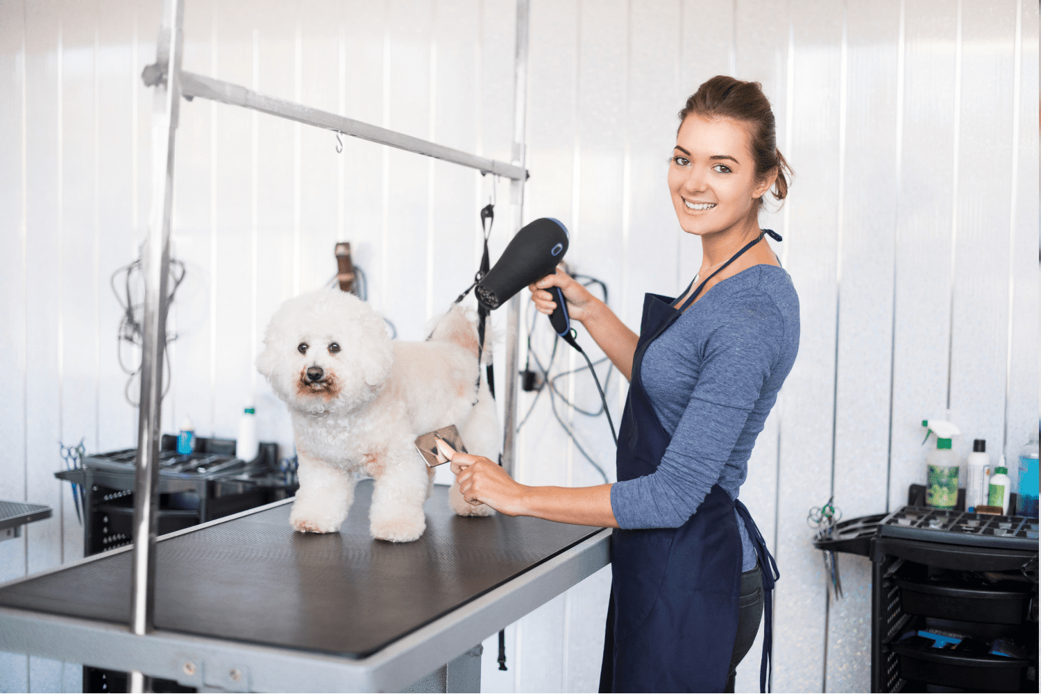 How to Ease Groomer Anxiety