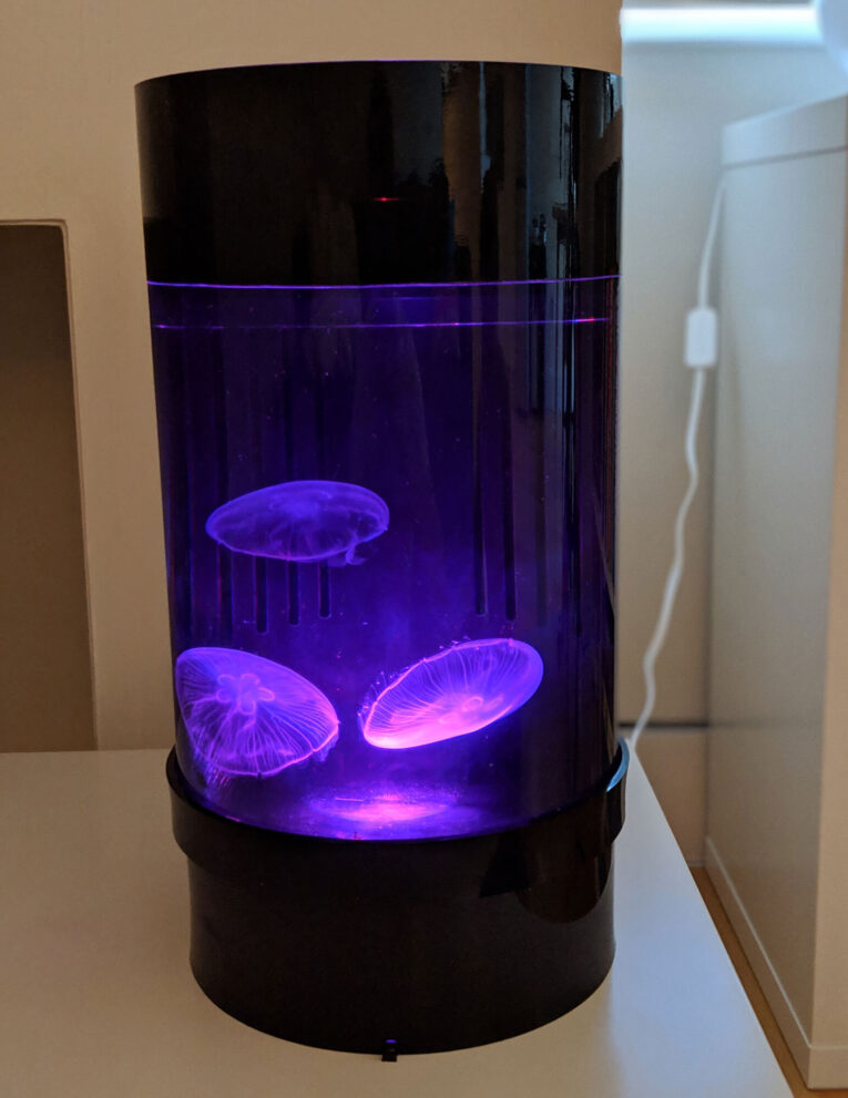 Jellyfish Nano Aquarium C8 – Starter kit