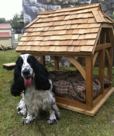 The Timber Framed Barn Dog Kennel