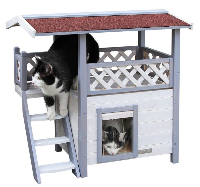 Ontario Cat House
