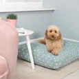 Dog Cushion in Duck Egg Spot