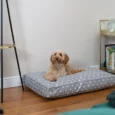 Dog Cushion in Grey Spot
