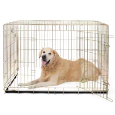 Heavy Duty Iridescent Gold Deluxe Dog Crate
