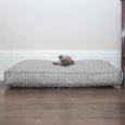 Dog Cushion in Regency Stripex