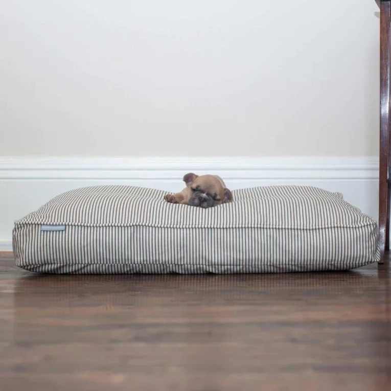 Dog Cushion in Regency Stripex