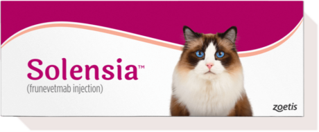 Solensia: A Revolutionary Once-Monthly Injection for Feline Arthritis ...