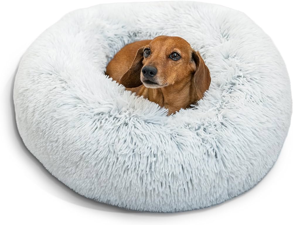 Do Calming Dog Beds Really Work?