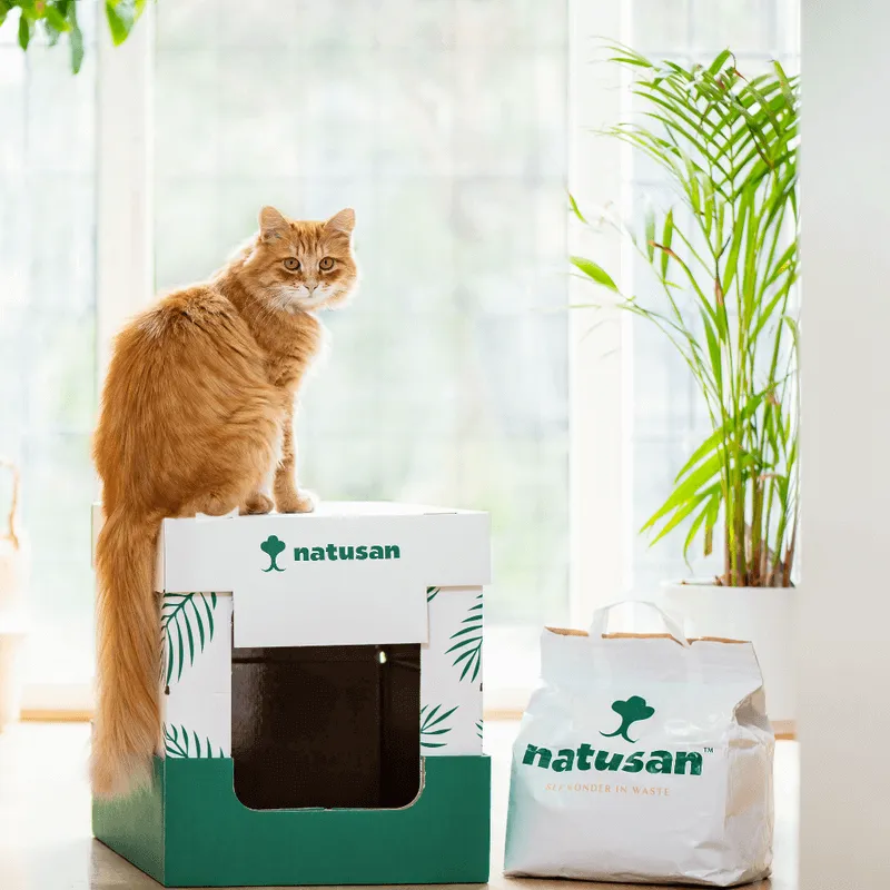 Decoding the Mystery of Litter Boxes: How Many Does Your Cat Really Need?