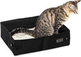 Decoding the Mystery of Litter Boxes: How Many Does Your Cat Really Need?